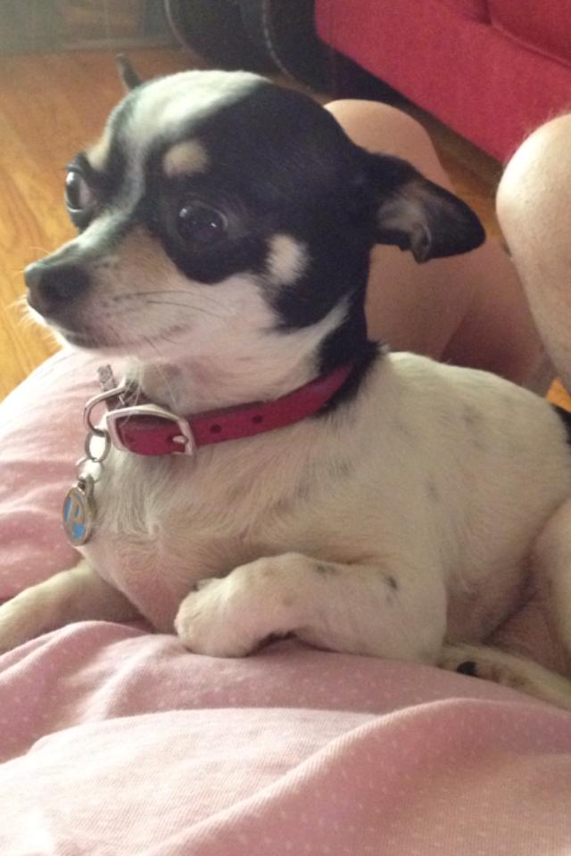 pearlie_mae_july_2013_2