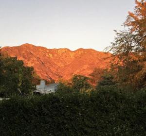 1456066_10152869238451085_6876516036690842021_n-1