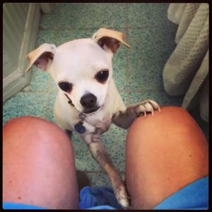 11227502_10153539260426085_8083877243421484060_n